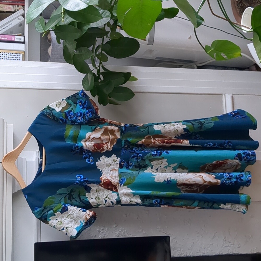 Anthropologie fit and flare dress